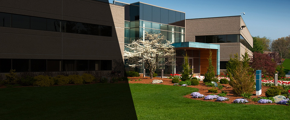 Clarksburg Landscapers