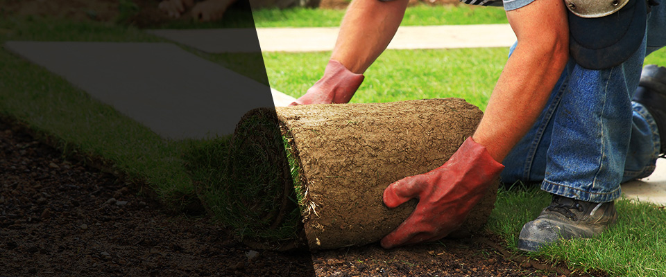 Clarksburg Landscapers